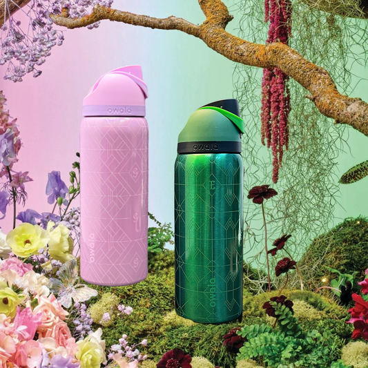 Owl x Wicked Tumbler Exclusive Glinda & Elphaba Free Sip 32 oz Water Bottle - Limited Edition